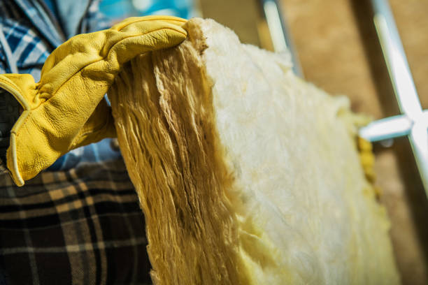 Best Types of Insulation in Palm City, FL
